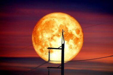 Tam çimlenme çim aya geri siluet güç elektrik hattı