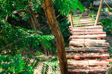 kulübe ahşap ve köprü günlük macera activi için orman inşa edildi