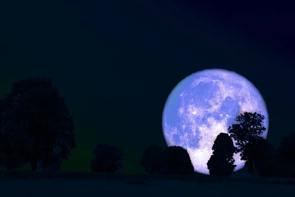 Luna llena de flores de nuevo en la silueta de plantas y árboles en el cielo nocturno — Foto de Stock