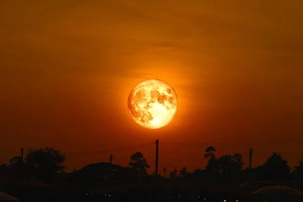 full egg moon back on silhouette plant on night sky