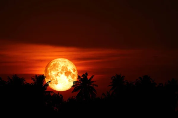 Super blood moon back on silhouette coconuts tree on night sky — Stock Photo, Image