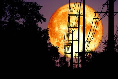 Tam balık Moon geri siluet güç elektrik hattı ve Kutup o
