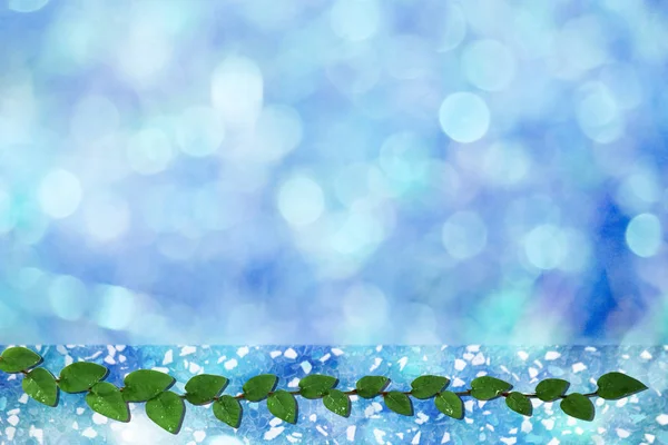 Feuilles vertes de marguerite mexicaine frontière de la nature et bokeh bleu — Photo