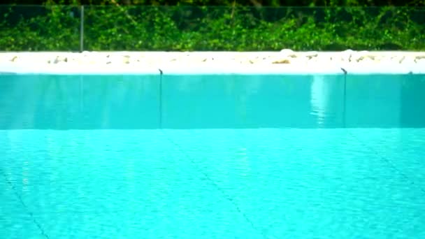 Weinig Golf op wateroppervlakte in het zwemmen licht blauwe kleur en groene installatie pool kant — Stockvideo
