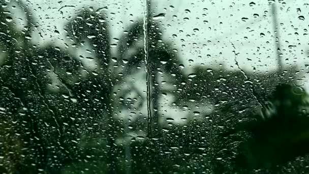 Dešťové kapky jsou těžké na zrcadlech auta a rozostřených stromů v parku — Stock video