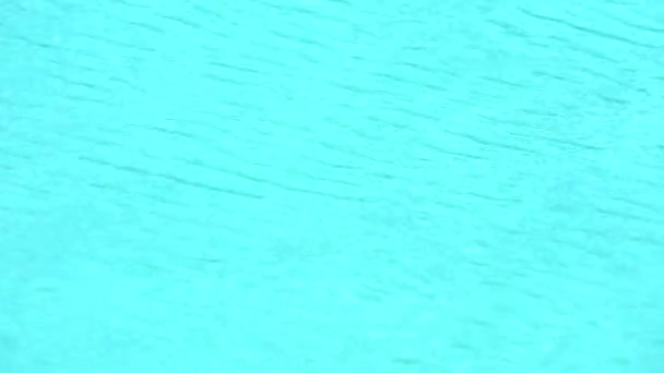 Pequeña ola en la superficie del agua en la piscina piso azul claro — Vídeo de stock