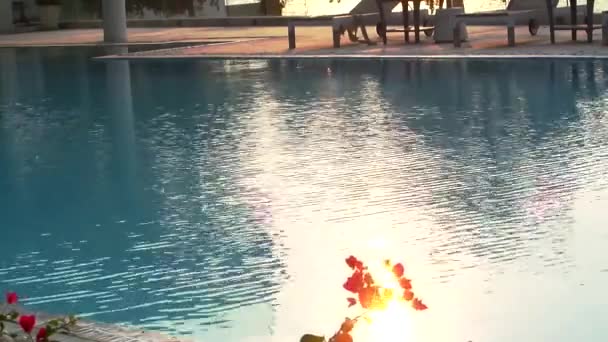 Ola de flor roja en la piscina y la puesta de sol reflejo — Vídeos de Stock