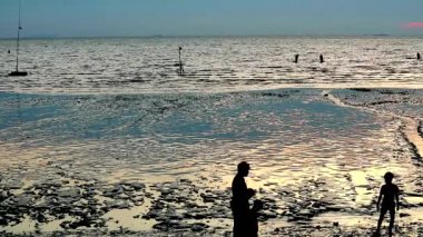 siluet insanlar sahilde yürümek zaman gün batımı ve gelgit