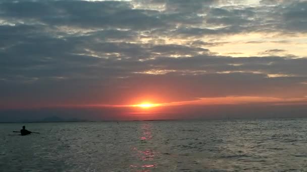 Homme trouver des fruits de mer dans la mer au coucher du soleil — Video