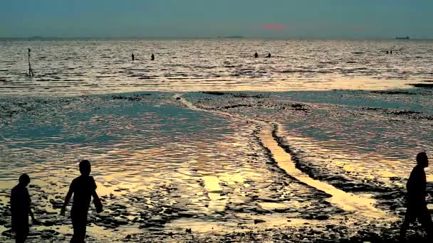 Sylwetka mężczyźni chodzić na plaża kiedy zachód słońca i Ebb Tide — Wideo stockowe
