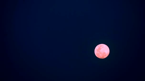 Lua rosa flutuando no fundo céu noite — Vídeo de Stock