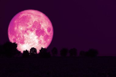 Full Strawberry Moon geri alanında siluet ağaçları