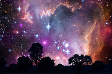 alanında nebula geri siluet ağaçları