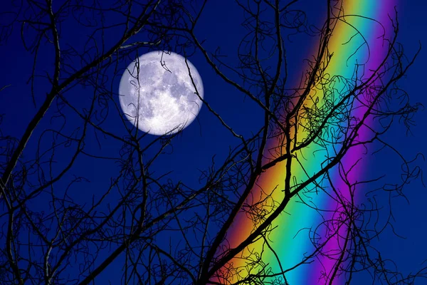Bulan Buck penuh kembali pada siluet pohon cabang kering di langit malam — Stok Foto