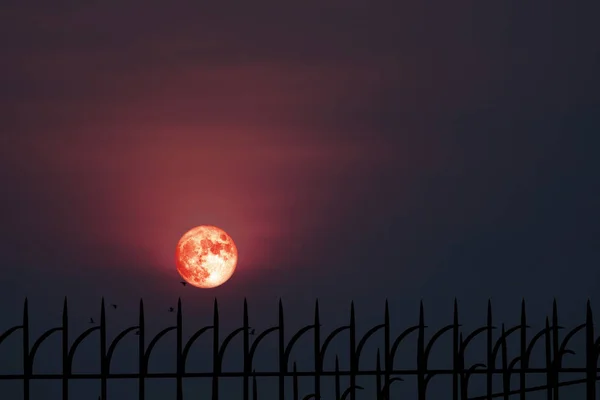 Volledige Hay Moon Halo terug silhouet ijzeren metalen hek — Stockfoto