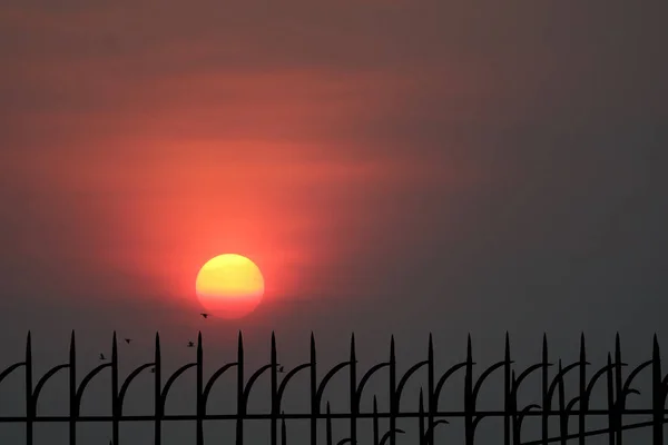 last light of sunset back silhouette metal fence