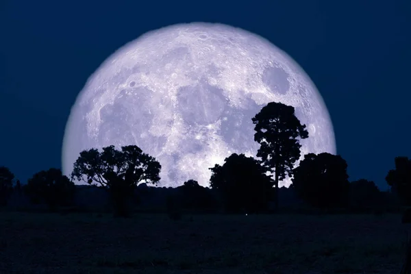 Super Buck Moon back silhouette trees in the field — Stock Photo, Image