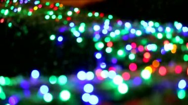 gece bahçesinde ağaç yeşil gökkuşağı renk ışık bulanıklık