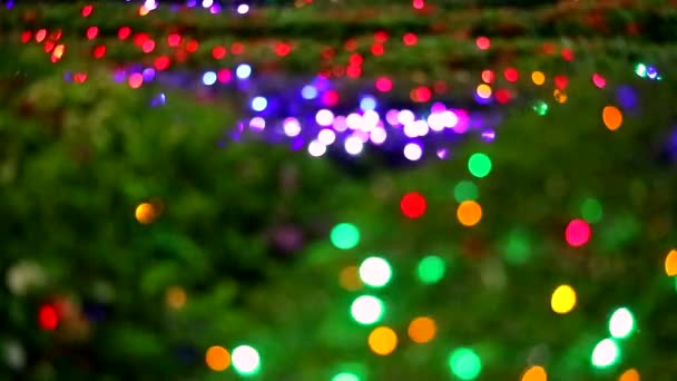 Abstracto desenfoque arco iris color luz decoración en el árbol en el jardín nocturno — Vídeo de stock