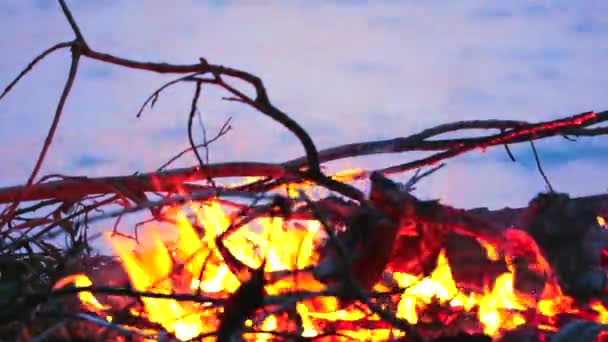 Brandend hout en afval in de buurt van zee creëert milieuvervuiling meer dan storten — Stockvideo