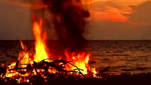 Burning wood and garbage near the sea creates pollution to marine lifes and environment — Stock Video