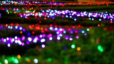 gece bahçesinde ağaç üzerinde bulanıklık soyut gökkuşağı renk ışık dekorasyon