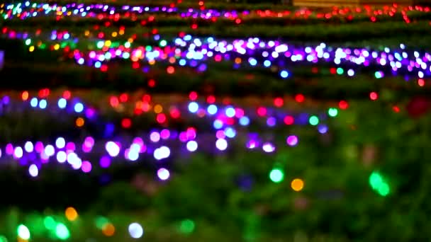 밤 정원에서 나무에 추상무지개 색 빛 장식을 흐리게 — 비디오
