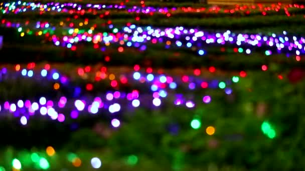 Desenfoque abstracto arco iris color luz decoración en el árbol en el jardín nocturno — Vídeo de stock