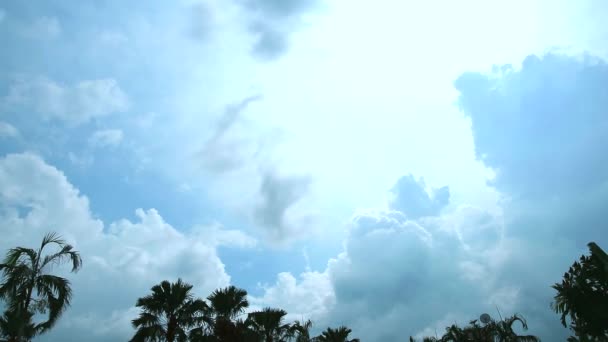 白云在蓝天上随风飘扬，掠过了棕榈光阴 — 图库视频影像