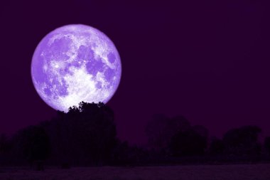 siluet orman üzerinde gece gökyüzünde tam Thunder ay geri