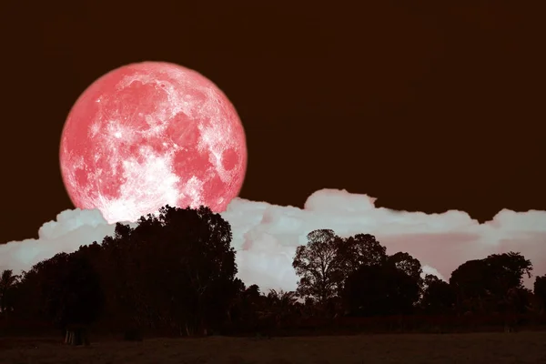 Luna llena de heno en el cielo nocturno sobre el bosque de siluetas — Foto de Stock