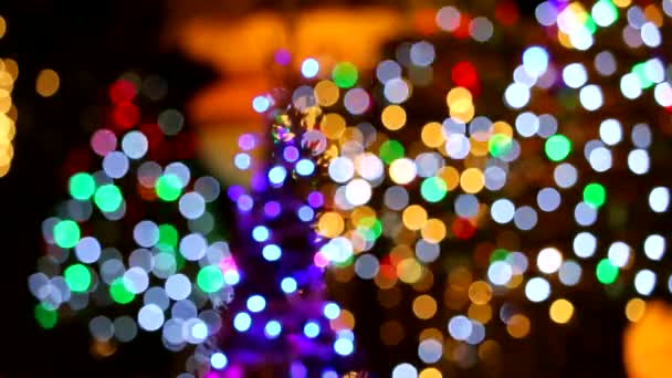 Rozostřit duhové barevné světlo dekorace na stromě v noční zahradě — Stock video