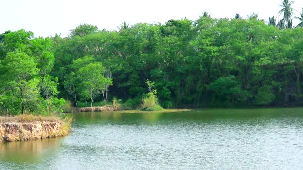 Árboles verdes alrededor del lago y olas en la superficie del agua — Vídeo de stock