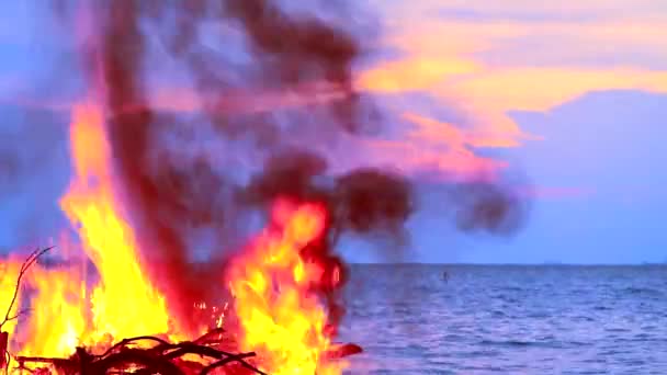 Bruciare legna e rifiuti vicino al mare crea inquinamento alle vite marine — Video Stock