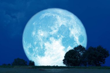Alanda tam Buck Moon geri siluet ağaçları