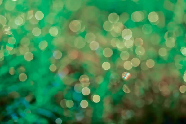Vervaag groen gras en Dauwdruppel vallen op groene bladeren en zon licht — Stockfoto