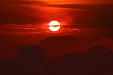 Gece gün batımında kırmızı gökyüzü siluet ağacı dağının arkasında