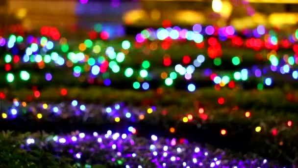 야간 정원 지역에서 멀티 컬러 블러 무지개 빛 장식 — 비디오