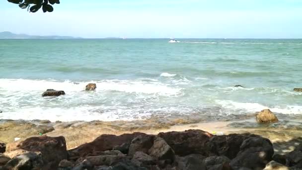 Волна атаковать камень возле пляжа скорость лодки на силуэте дерева — стоковое видео