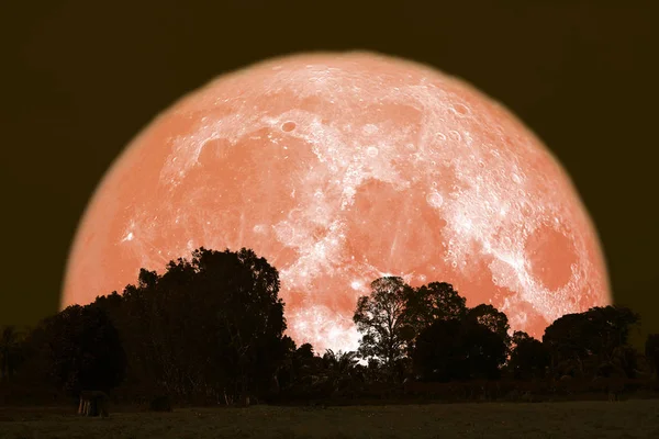Luna de trueno llena en el cielo nocturno de vuelta sobre el bosque de siluetas — Foto de Stock