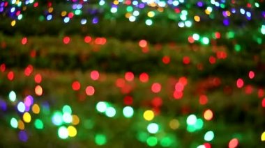 gece bahçesinde bitki üzerinde çok renkli bulanıklık Işık dekorasyon