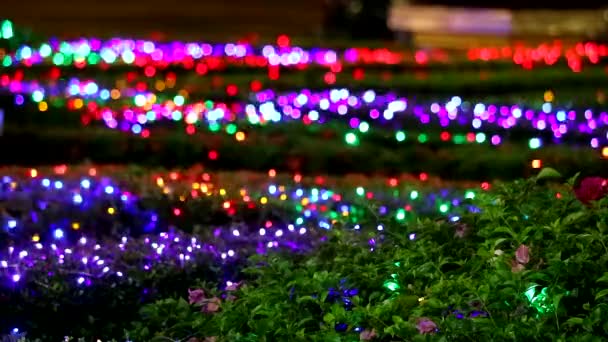 Vervagen regenboog licht decoratie op boom in de nacht tuin — Stockvideo