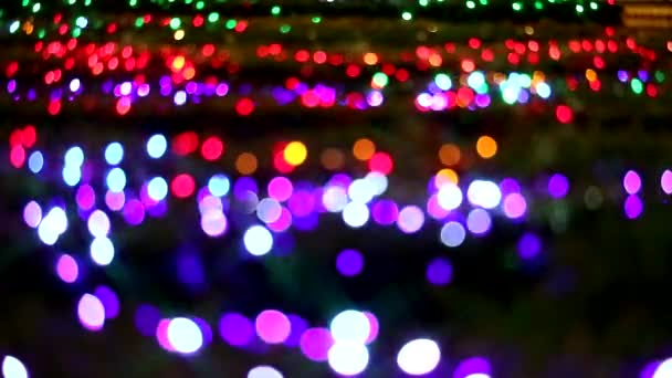 Розмитий зірковий спалах фіолетового червоного кольору веселки світло на дереві в нічному саду — стокове відео