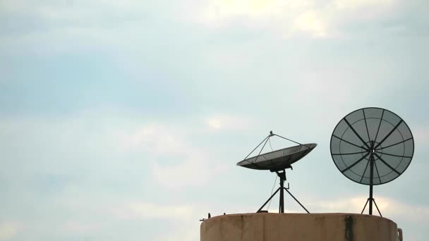 Birds fly to hang on two satellite dish morning sky background — Stock Video