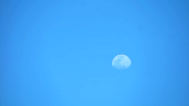 Media luna movimiento en claro cielo azul lapso de tiempo — Vídeo de stock
