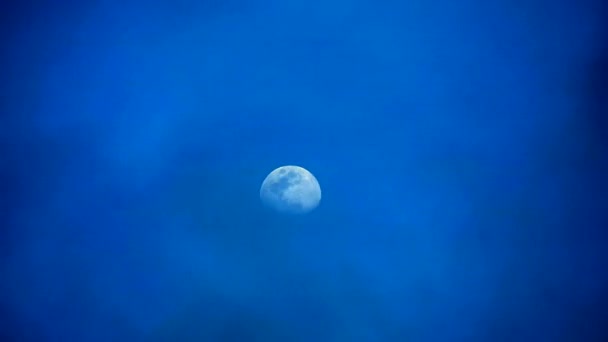 Полумесяц движется в темно-голубое облако в ночном небе — стоковое видео