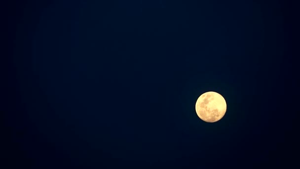 Órbita lunar rosa sobre fondo cielo nocturno — Vídeo de stock