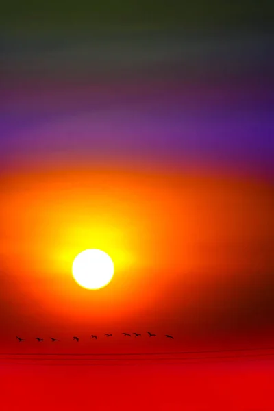 Multicolor del cielo puesta del sol y el rayo del sol todo alrededor y silueta f — Foto de Stock