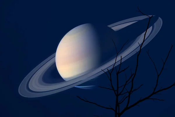 Сатурн на ночном небе назад силуэт сухого дерева — стоковое фото