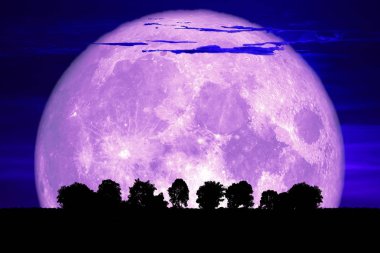 karanlık gökyüzünde süper mor kar ay geri siluet ağacı